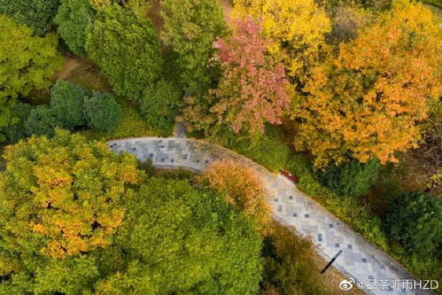 關(guān)于秋天擺渡的詩(shī)句