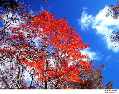 描寫(xiě)秋天景色的詩(shī)句古詩(shī)大全,描寫(xiě)秋天荷花的詩(shī)句古詩(shī)大全,二年級(jí)描寫(xiě)秋天的詩(shī)句古詩(shī)大全