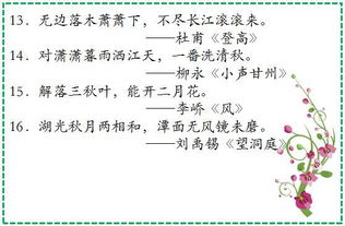 贊美夏花的古詩句