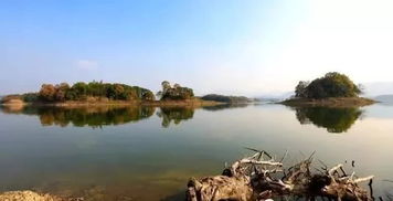 關(guān)于陸水湖有哪些詩(shī)句