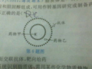 關(guān)于堅守信仰的詩句