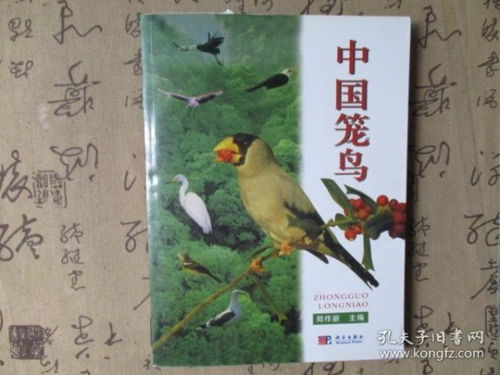 詩(shī)句,籠鳥(niǎo)古