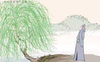 柳的詩句古詩加意思