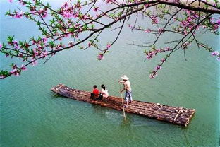 關(guān)于田園幽靜的詩句