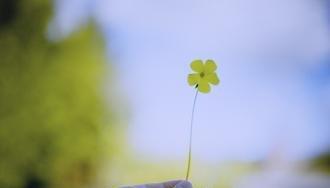 古詩句激勵員工