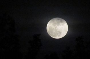 關(guān)于月亮的詩(shī)句古詩(shī)大全五年級(jí),關(guān)于月亮的詩(shī)句古詩(shī)大全四年級(jí),關(guān)于月亮的詩(shī)句古詩(shī)大全四句