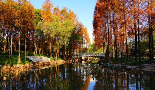 寫(xiě)秋景的詩(shī)句古詩(shī)離別