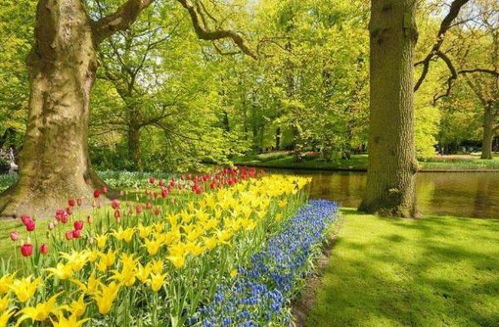 關(guān)于秋天收獲的詩句和諺語,秋天的詩句和諺語,有關(guān)秋天的成語詩句諺語