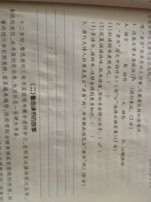 杜甫關(guān)于煮書的詩句