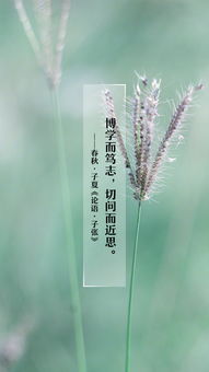 描繪新征程的古詩(shī)句