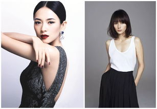 有關(guān)于贊美明星詩(shī)句