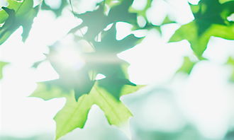 祝愿不生病的古詩(shī)句