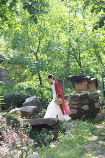 關(guān)于終南山隱居詩句