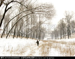 關(guān)于在雪中跑步的詩(shī)句