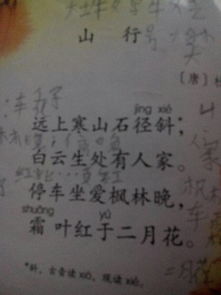 古詩山行的詩句和意思是什么意思