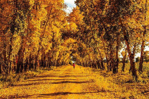 關(guān)于秋天現(xiàn)代的詩(shī)句