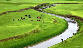 草原描寫(xiě)草原的詩(shī)句古詩(shī)
