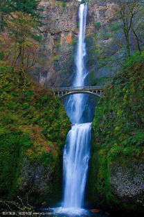 哪兩首古詩(shī)是描寫瀑布的詩(shī)句