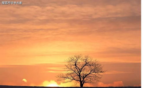 描寫秋天蕭瑟的古詩句