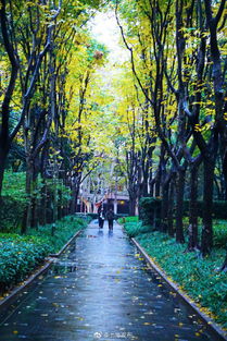 形容秋高氣爽的古詩句