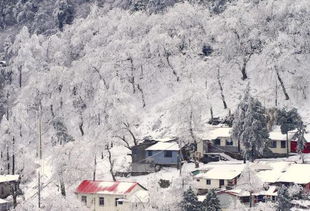 含有銀裝素裹的古詩句