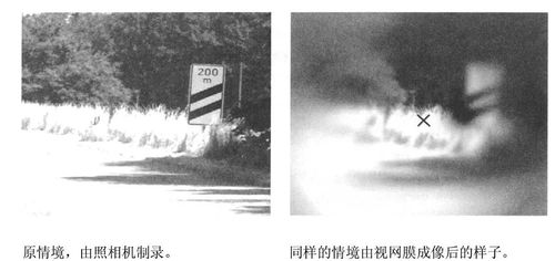 關(guān)于在背后默默付出的詩(shī)句