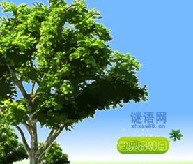 關(guān)于保護(hù)森林的詩(shī)句.