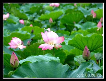 春在細雨關于詩句