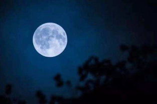 中秋贊美月亮的詩句古詩