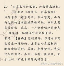 六字古詩句做網(wǎng)名