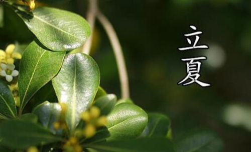 關(guān)于立夏下雨詩(shī)句