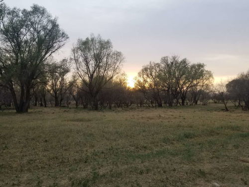 風(fēng)景的詩句古詩四級(jí)