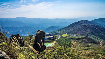 關(guān)于覆卮山的詩句