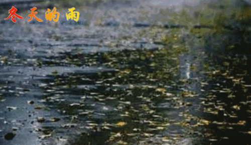 古詩,詩句,冬天