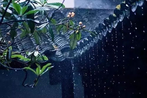 關(guān)于冬天的雨的詩句古詩