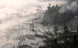 詩句,春天,大全