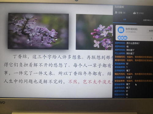 詩句中有丁香結(jié)的古詩