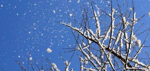 關(guān)于大雪的詩句形容東北的