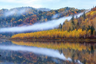 關于小興安嶺的詩句