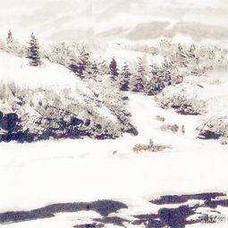 詩句,描寫,采薇