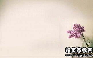 優(yōu)美古詩句摘抄加賞析