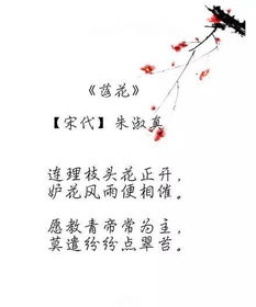 關(guān)于花的詩句或文章