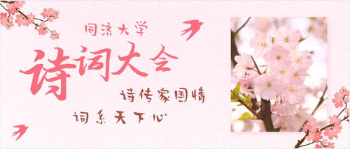 詩(shī)句,綜合,歌曲