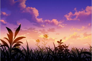 關(guān)于塔的優(yōu)美詩句