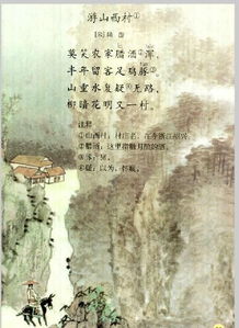 小學(xué)四級(jí)關(guān)于杏花的詩(shī)句古詩(shī)