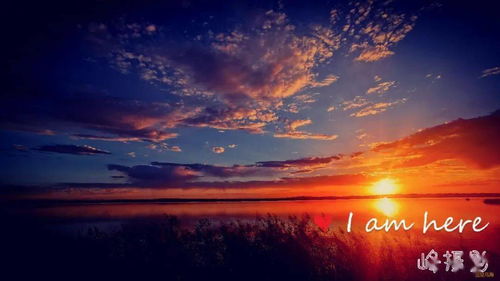 感嘆花開(kāi)花謝的詩(shī)句,形容花開(kāi)花謝的詩(shī)句,花開(kāi)花謝的優(yōu)美詩(shī)句