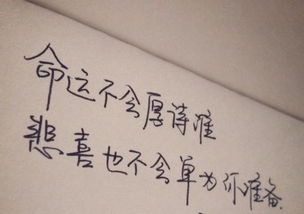 關(guān)于堅持到底的古詩句