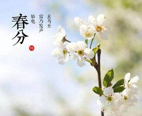 關(guān)于花和幸福的詩(shī)句
