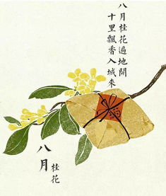 關(guān)于桂花雨的詩句古詩,關(guān)于桂花雨的詩句有哪些,關(guān)于桂花雨的詩句,有十個(gè)