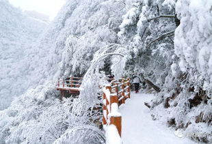 八臺(tái)山的詩(shī)句,關(guān)于羊臺(tái)山的詩(shī)句,鏡臺(tái)山詩(shī)句